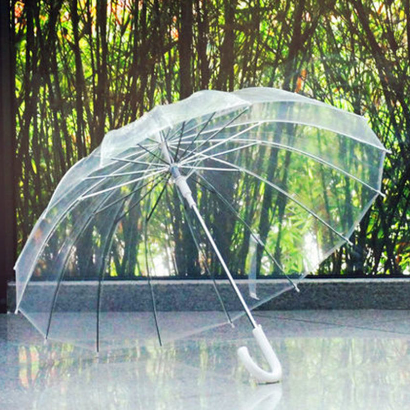 Transparent Umbrella