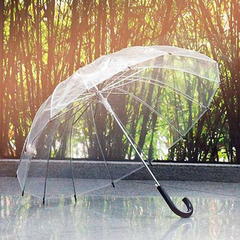 Transparent Umbrella