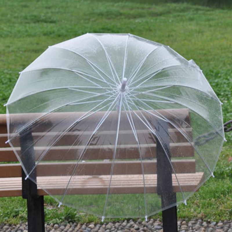 Transparent Umbrella