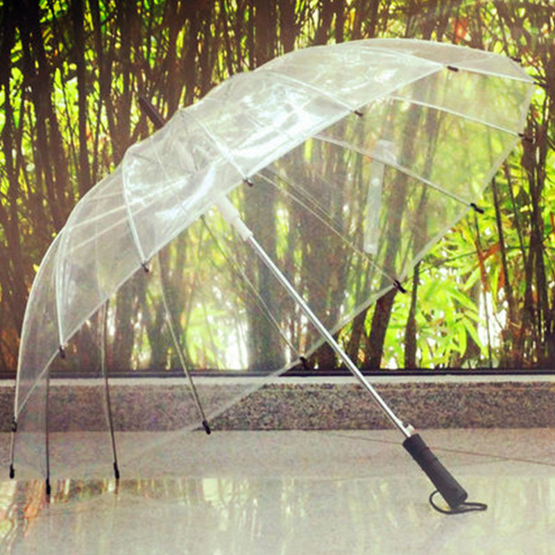 Transparent Umbrella