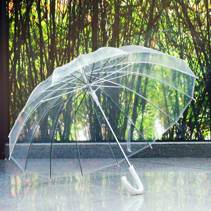 Transparent Umbrella