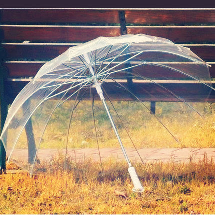 Transparent Umbrella